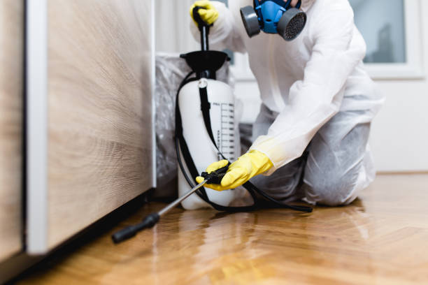 Best Local Pest Control Services  in Covgton, IN