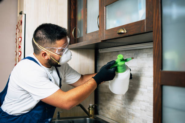 Best Flea Control Services  in Covgton, IN