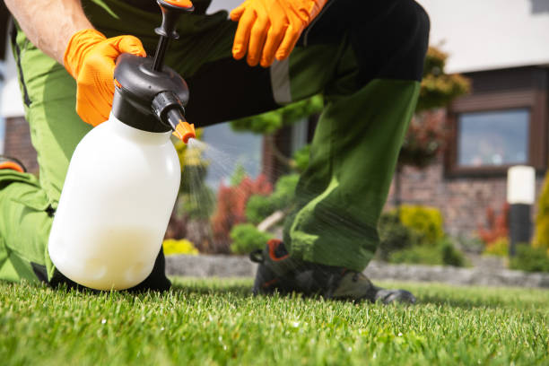 Best Wasp Removal Services  in Covgton, IN