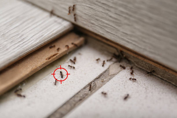 Best Pest Inspection Near Me  in Covgton, IN