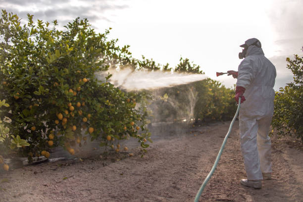Best Pest Removal Services  in Covgton, IN