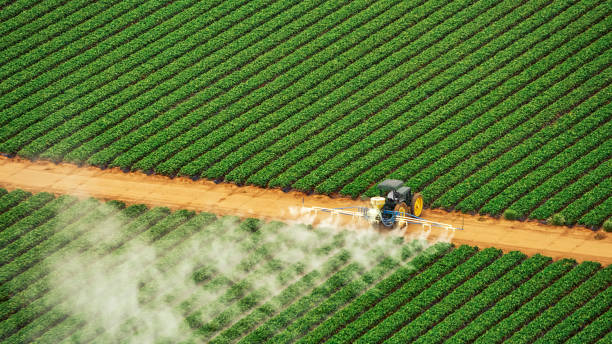 Best Mosquito Control Services  in Covgton, IN