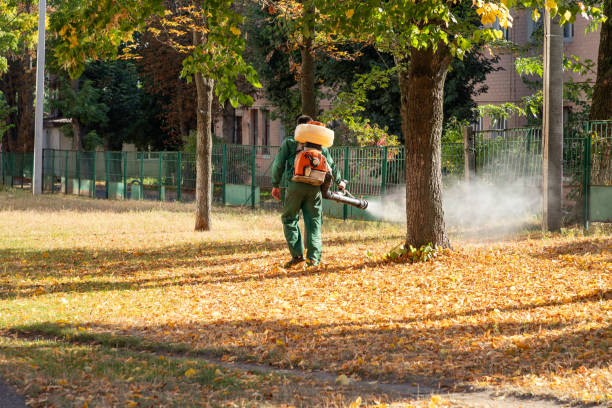 Best Spider Control Near Me  in Covgton, IN