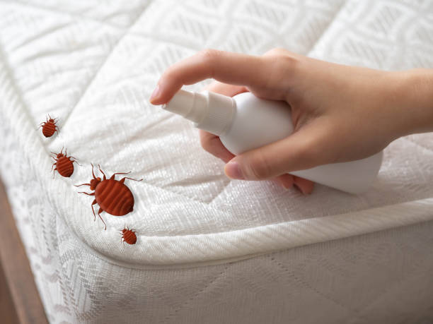 Best Flea Control Services  in Covgton, IN