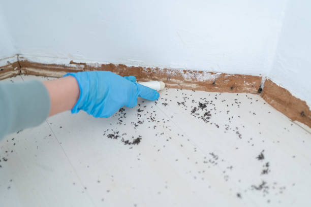 Best Best Pest Control Companies  in Covgton, IN