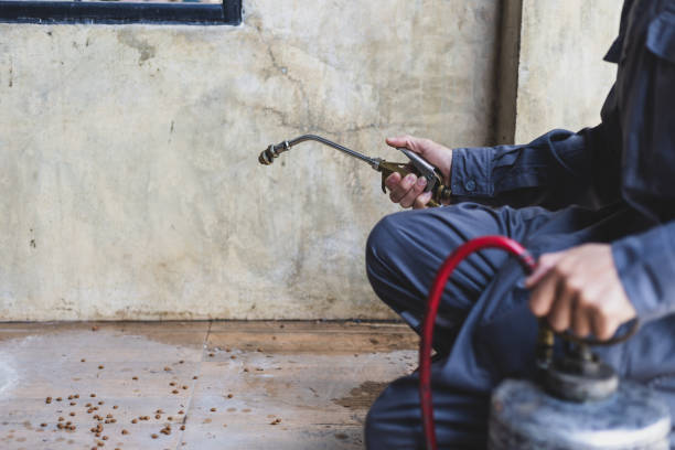 Best Best Pest Control Companies  in Covgton, IN